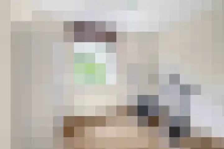 Zolastraat 10 Venlo thumbnail 16