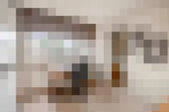 Zolastraat 10 Venlo thumbnail 18