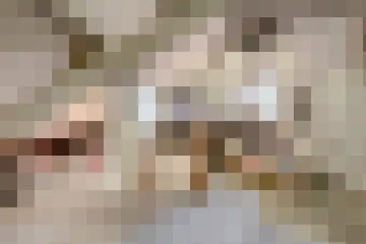 Zolastraat 10 Venlo thumbnail 22