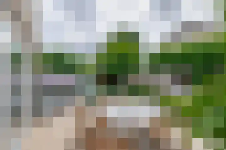 Zolastraat 10 Venlo thumbnail 24