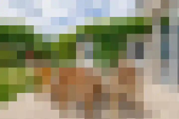 Zolastraat 10 Venlo thumbnail 25