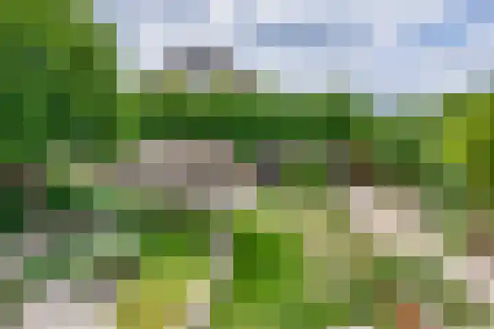 Zolastraat 10 Venlo thumbnail 26