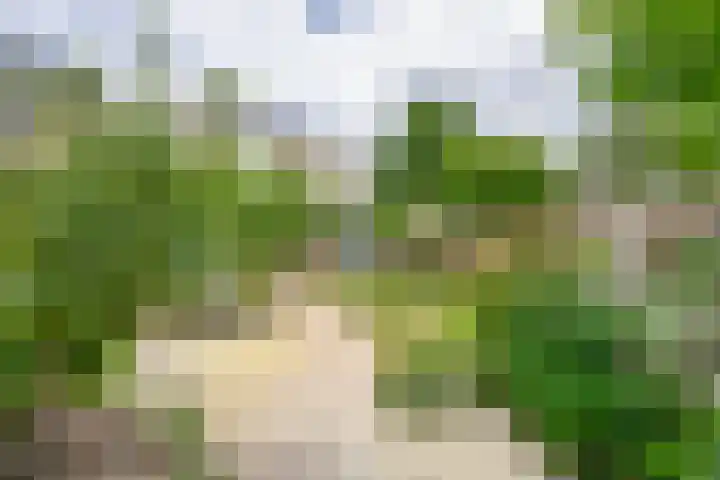 Zolastraat 10 Venlo thumbnail 27