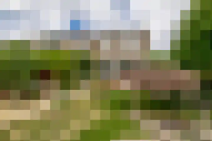 Zolastraat 10 Venlo thumbnail 29