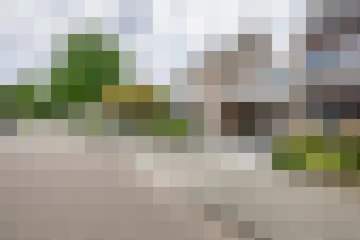 Zolastraat 10 Venlo thumbnail 30