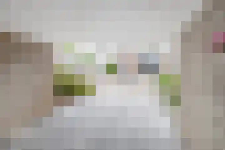 Zolastraat 10 Venlo thumbnail 32