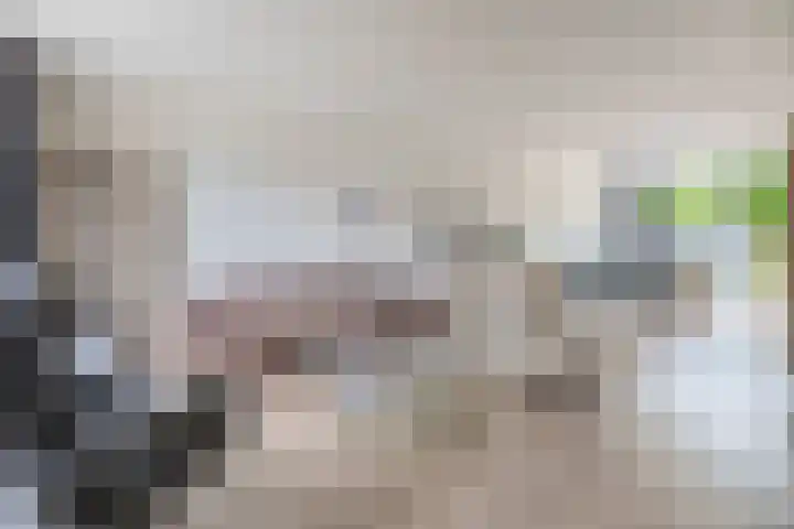 Zolastraat 10 Venlo thumbnail 4