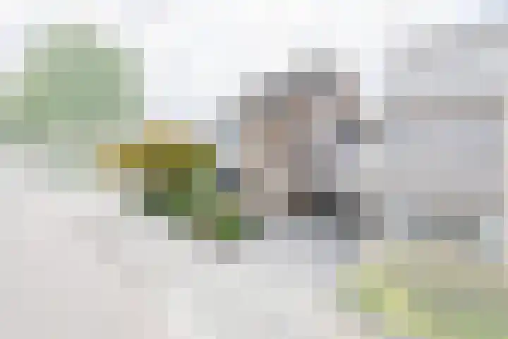 Zolastraat 10 Venlo thumbnail 41