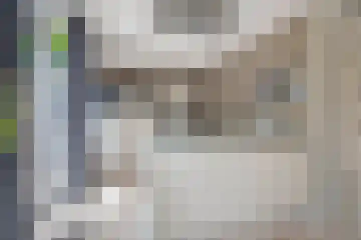 Zolastraat 10 Venlo thumbnail 7