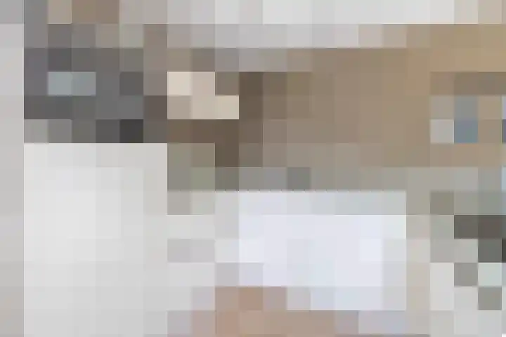 Zolastraat 10 Venlo thumbnail 8