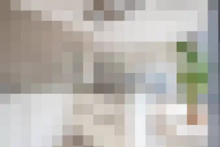 Zolastraat 10 Venlo thumbnail 9