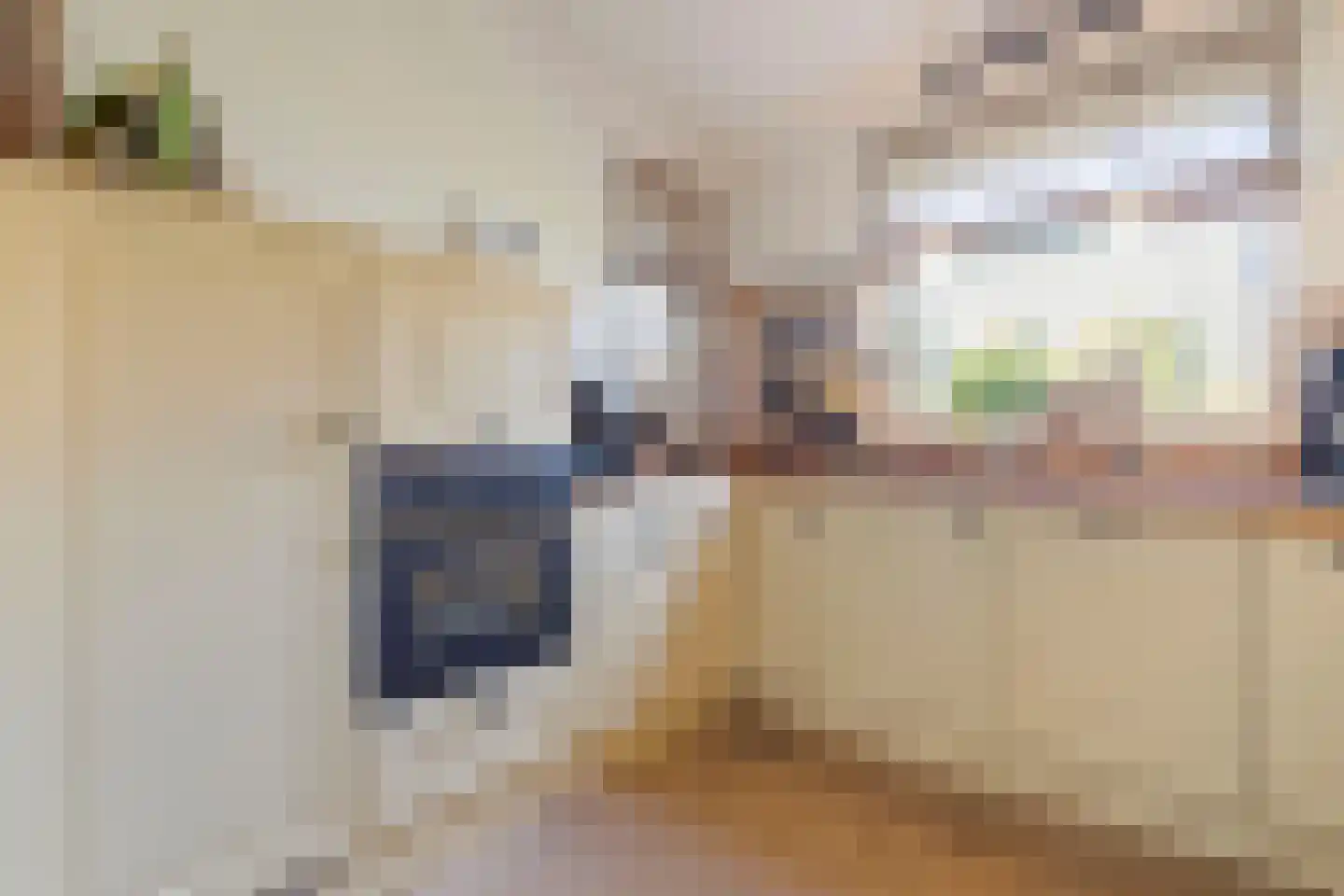 Zolastraat 20 Venlo thumbnail 21
