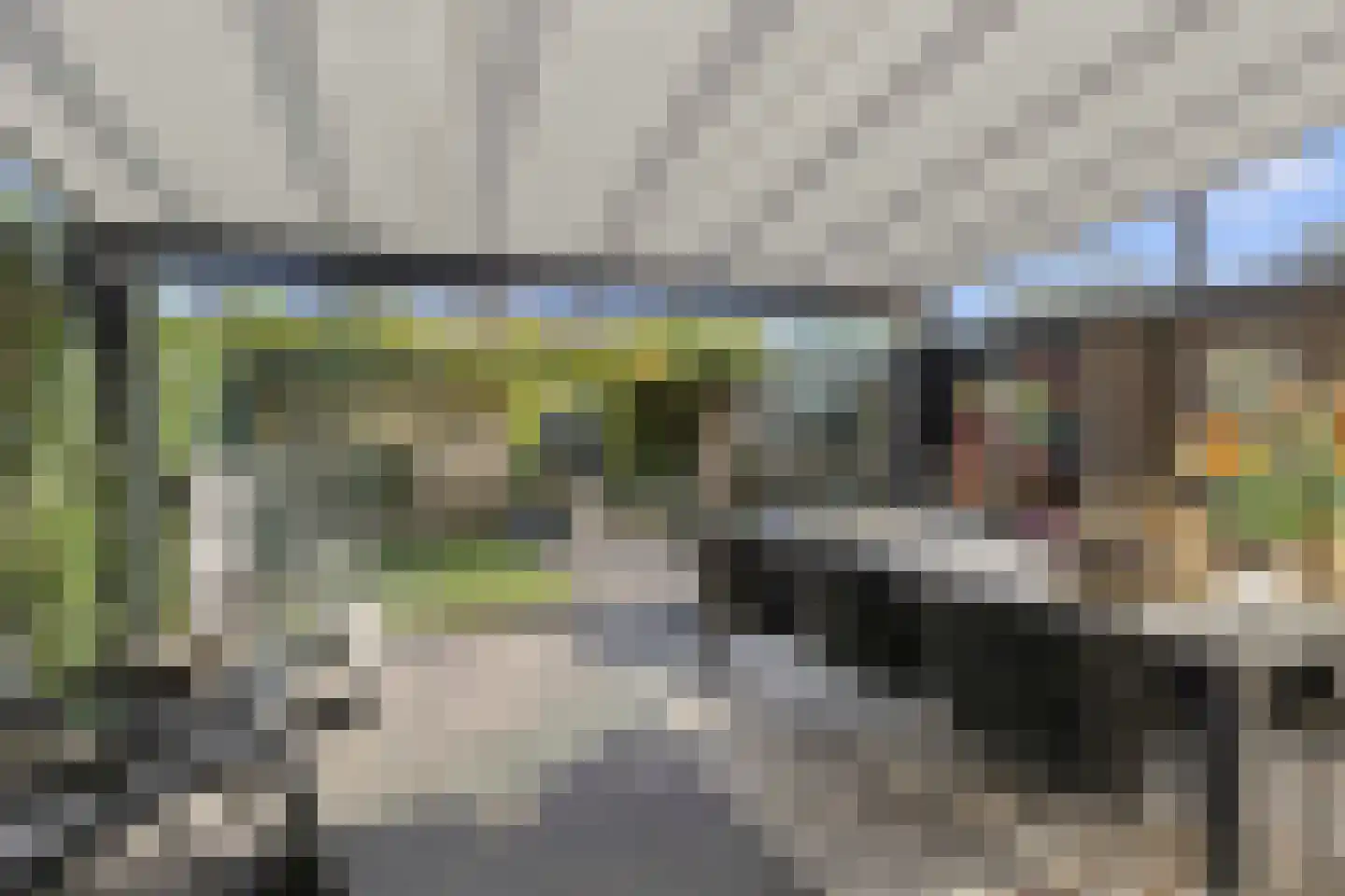 Zolastraat 20 Venlo thumbnail 39