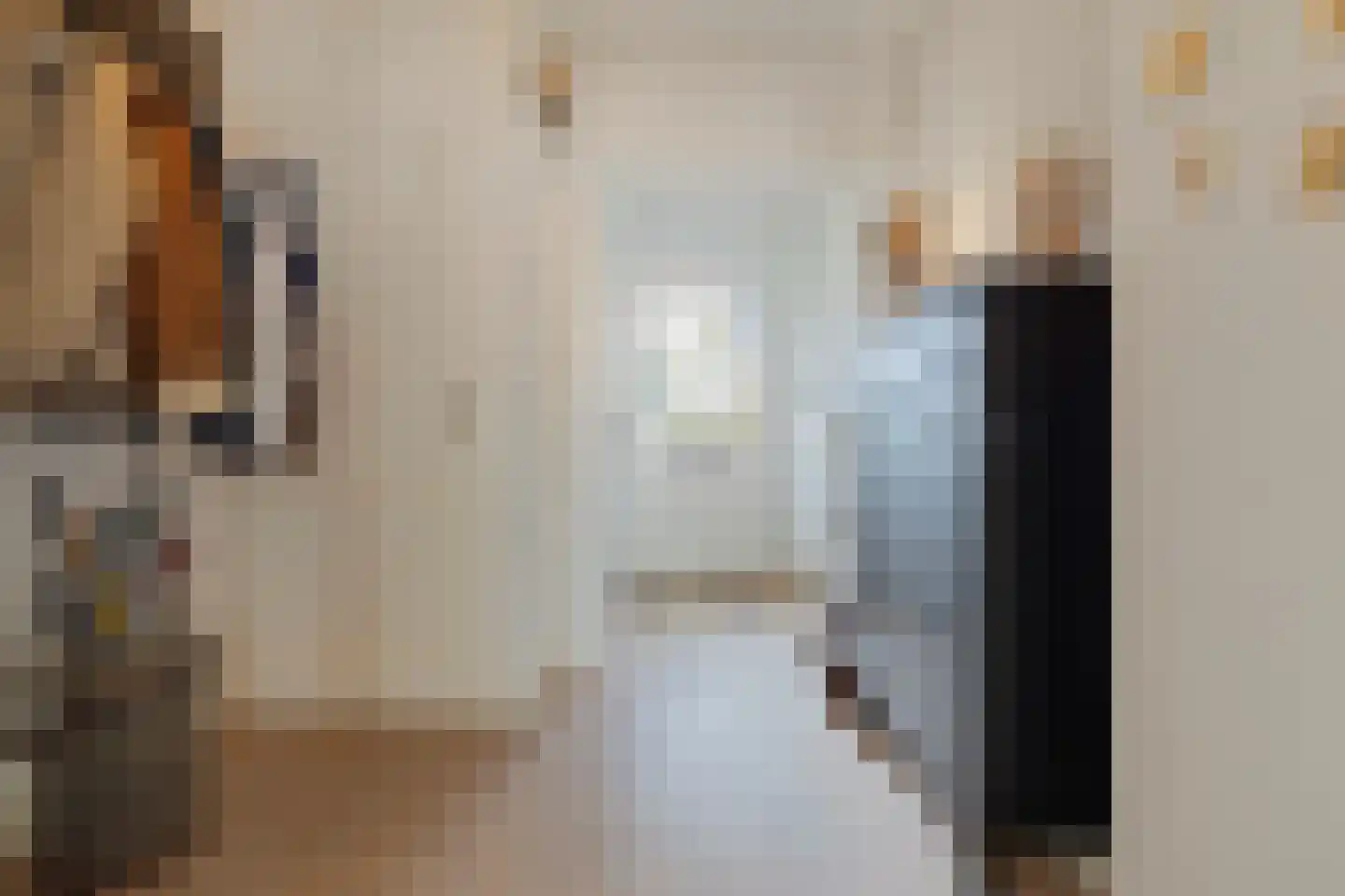 Zolastraat 20 Venlo thumbnail 6