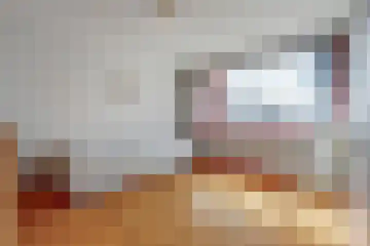 Zolastraat 27 Venlo thumbnail 10