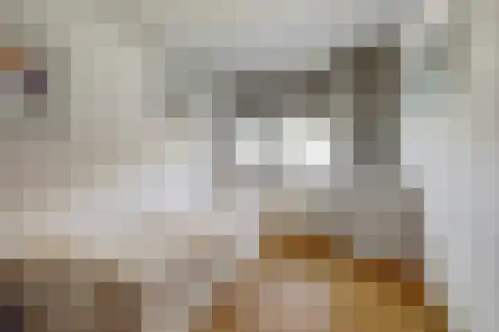 Zolastraat 27 Venlo thumbnail 13