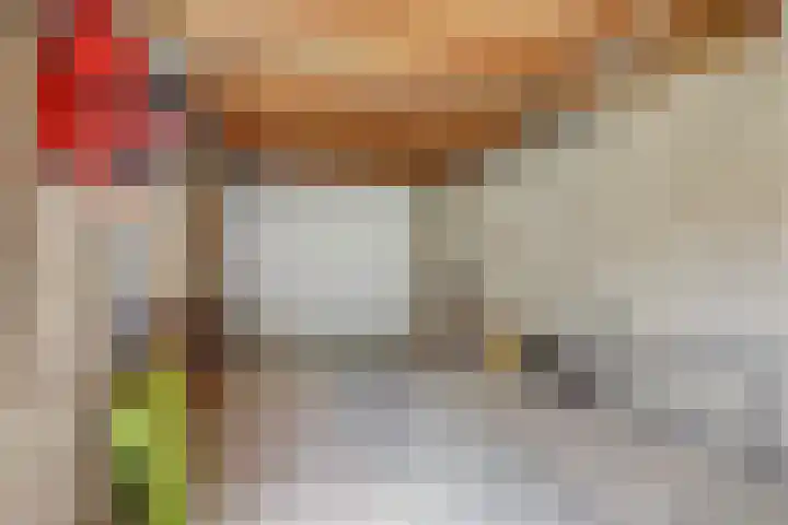 Zolastraat 27 Venlo thumbnail 16