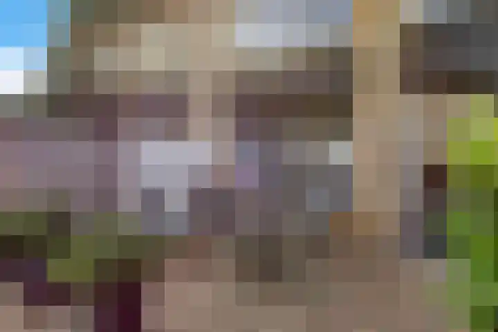 Zolastraat 27 Venlo thumbnail 18