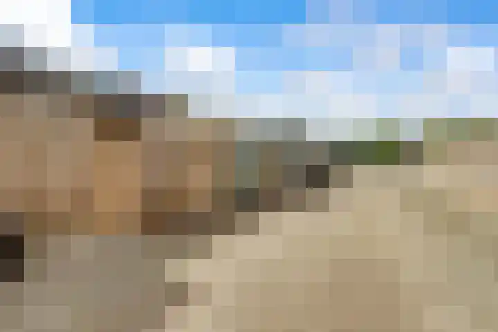 Zolastraat 27 Venlo thumbnail 21
