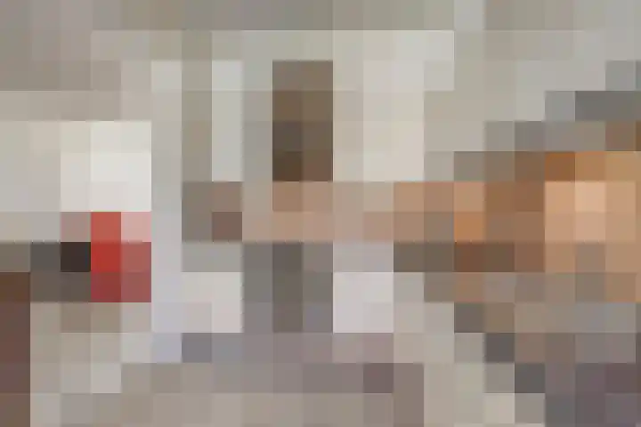 Zolastraat 27 Venlo thumbnail 7