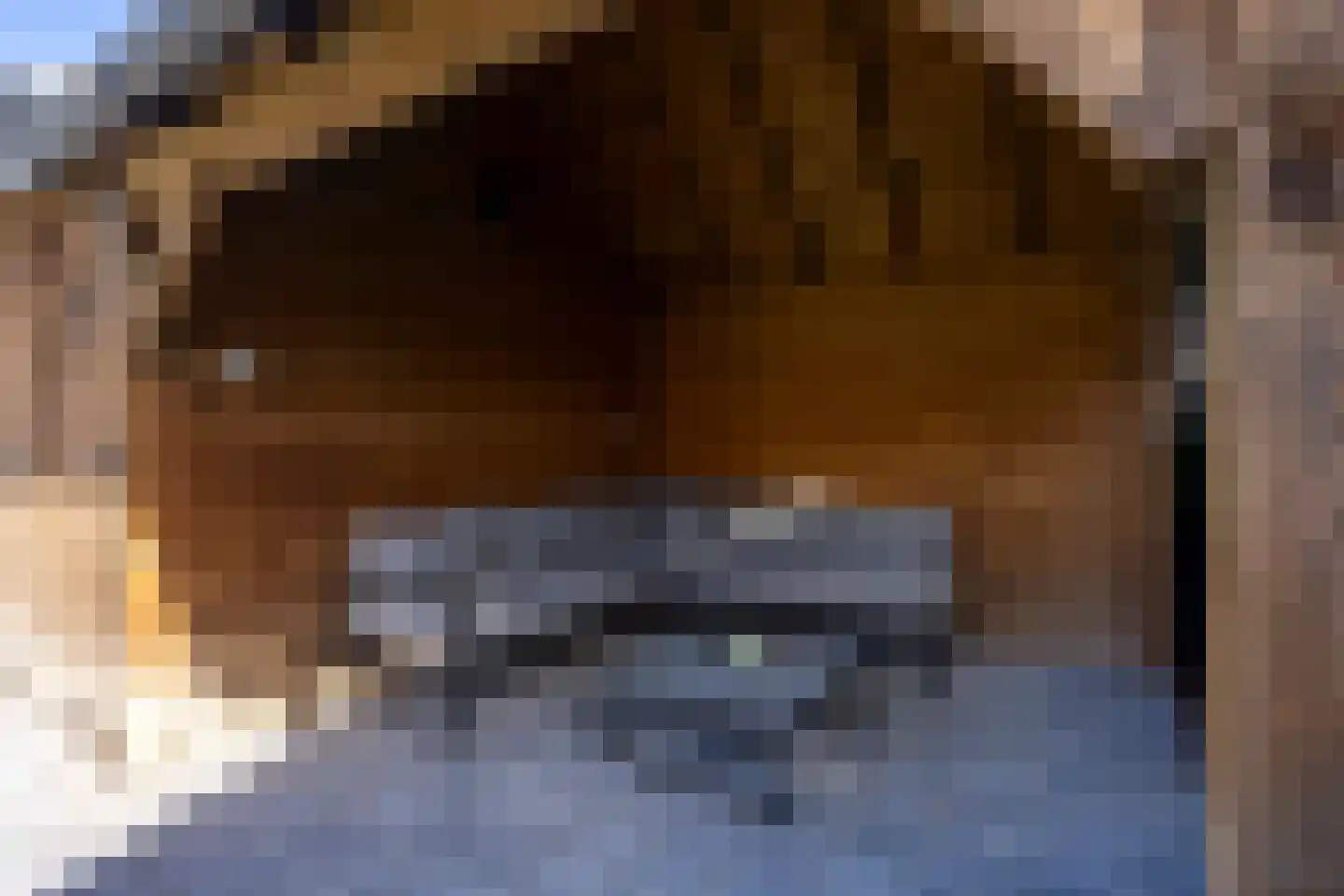 Zolder 14 bus2 Huissen thumbnail 5
