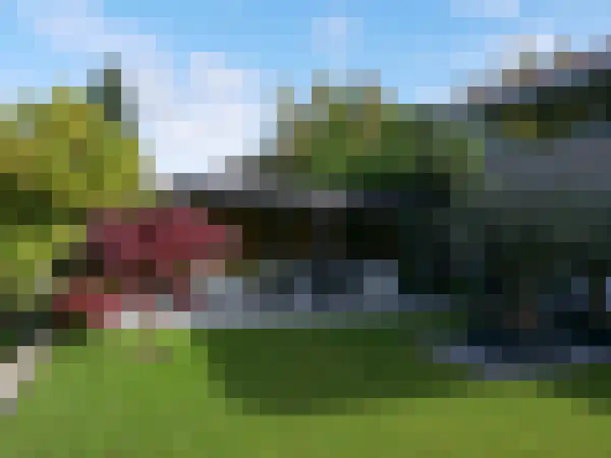 Zomer 5 Dronten thumbnail 4
