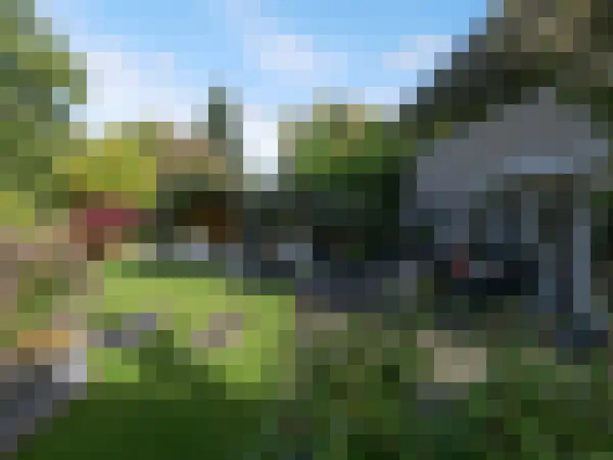 Zomer 5 Dronten thumbnail 5