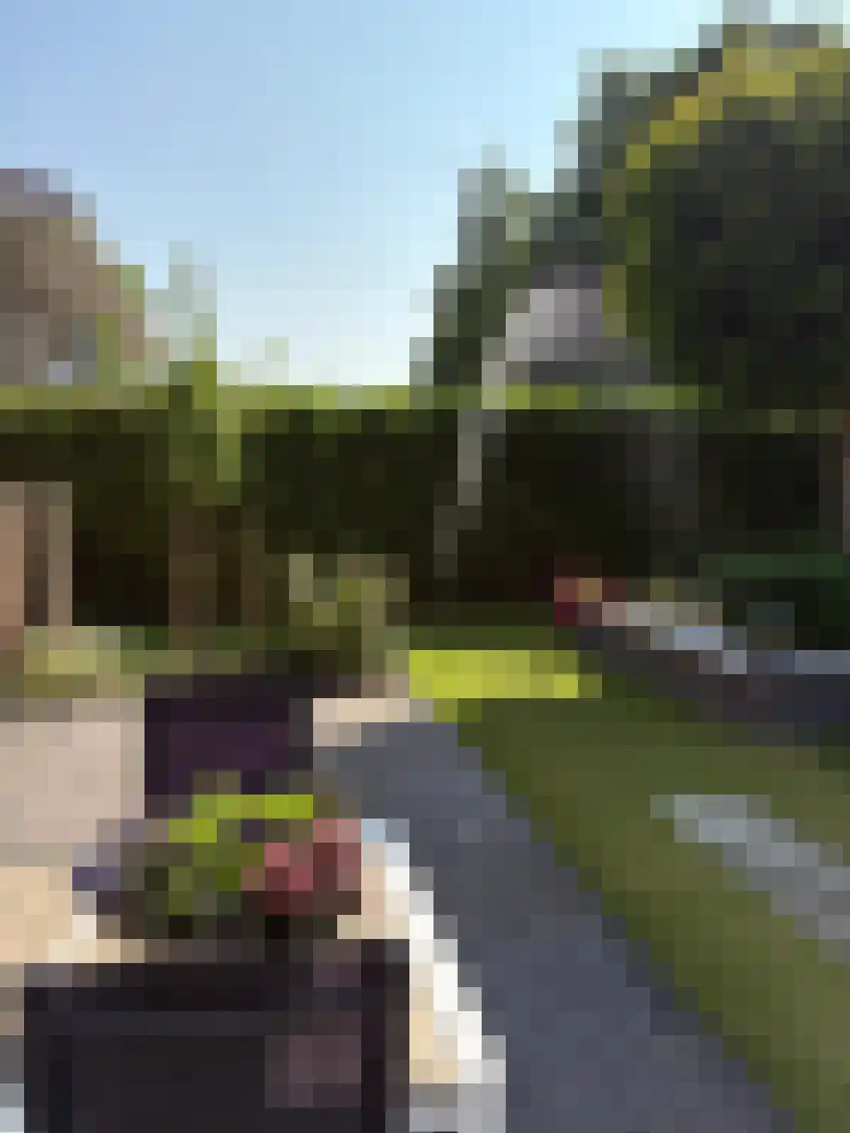 Zomer 5 Dronten thumbnail 6