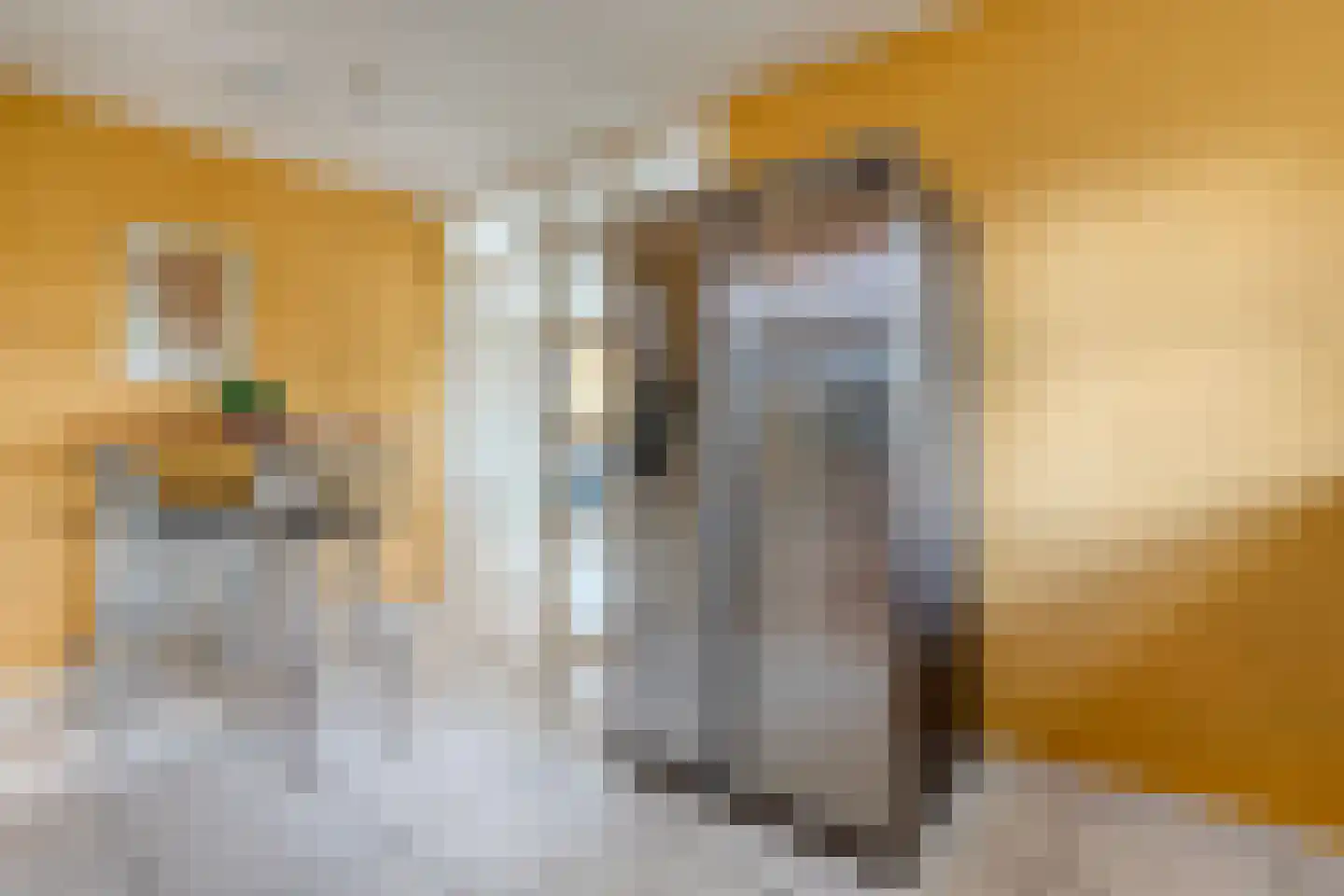Zomer 62 Dronten thumbnail 22