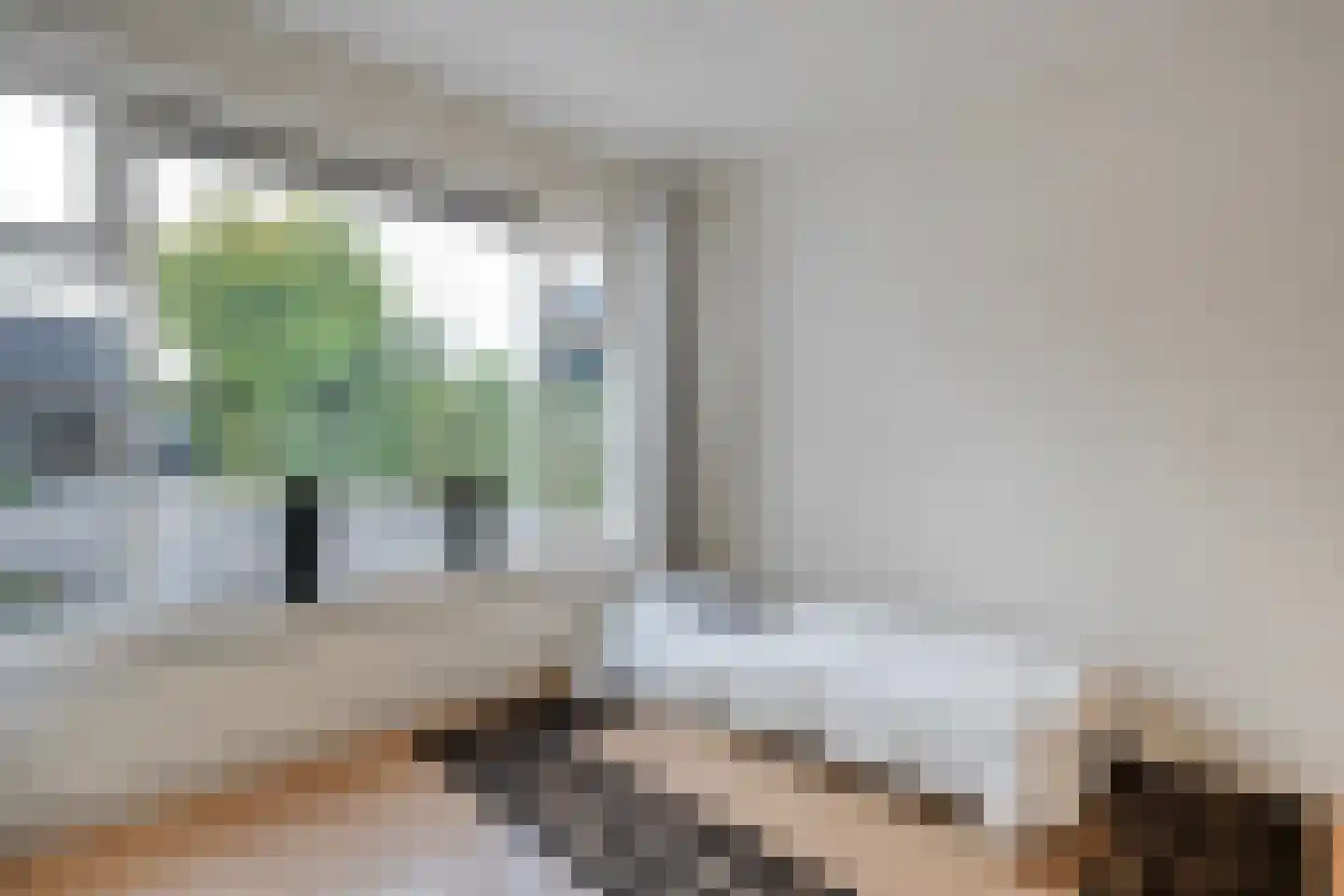 Zomer 62 Dronten thumbnail 31