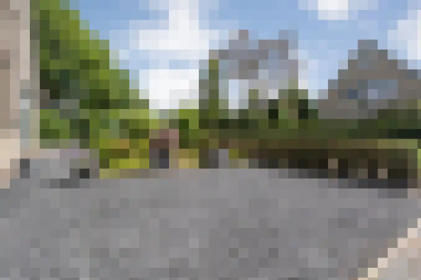 Zomer 62 Dronten thumbnail 5