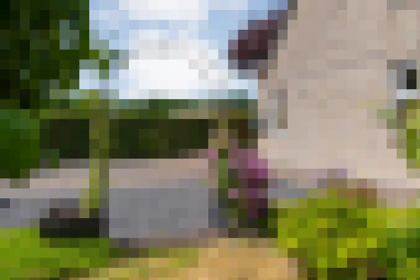 Zomer 62 Dronten thumbnail 6