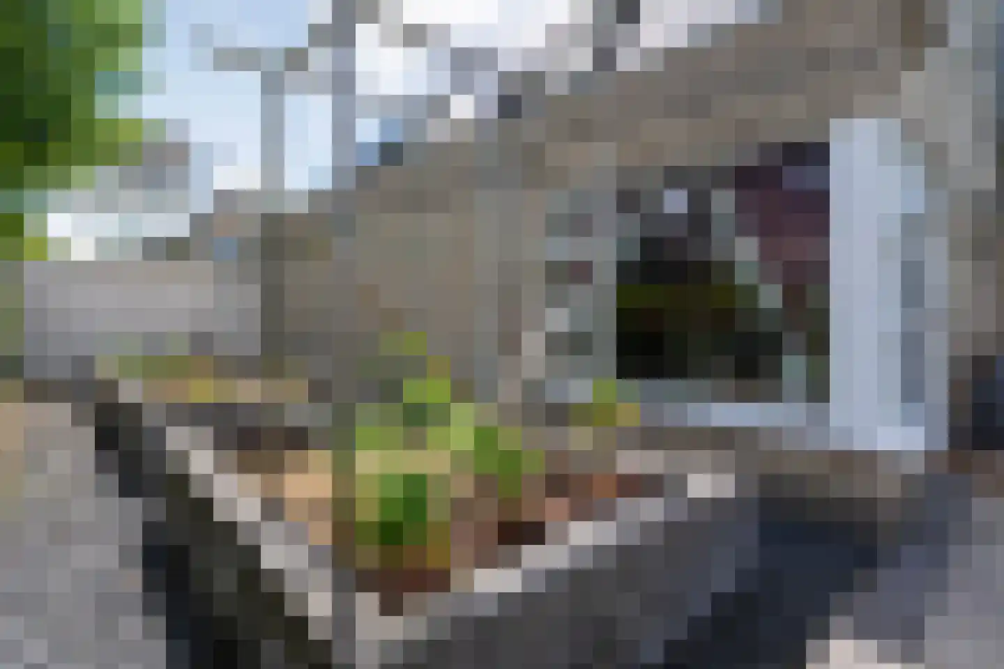 Zomer 62 Dronten thumbnail 60