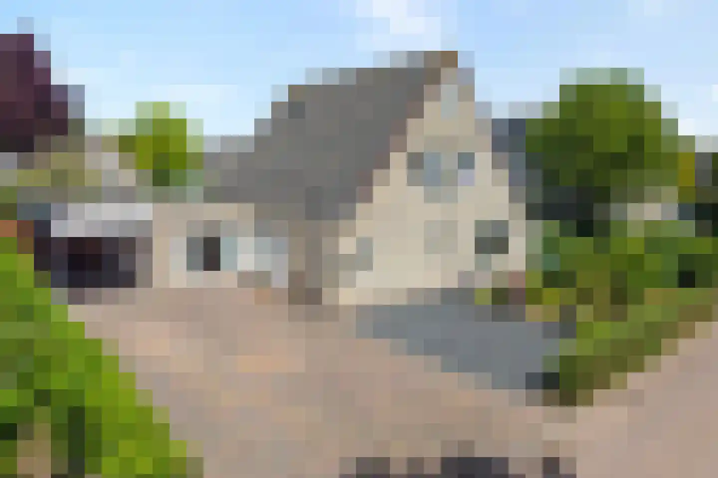 Zomer 62 Dronten thumbnail 75
