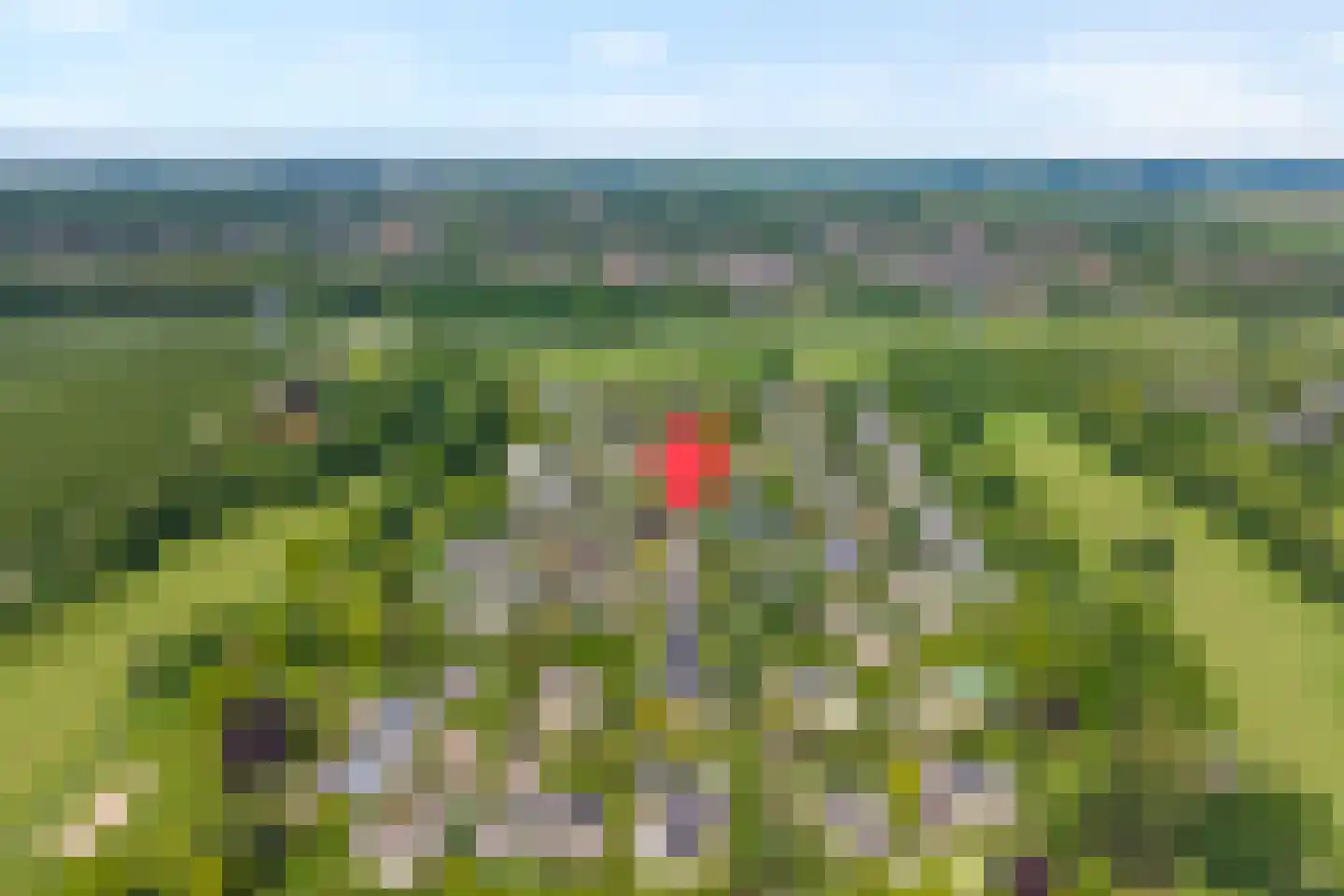 Zomer 62 Dronten thumbnail 79