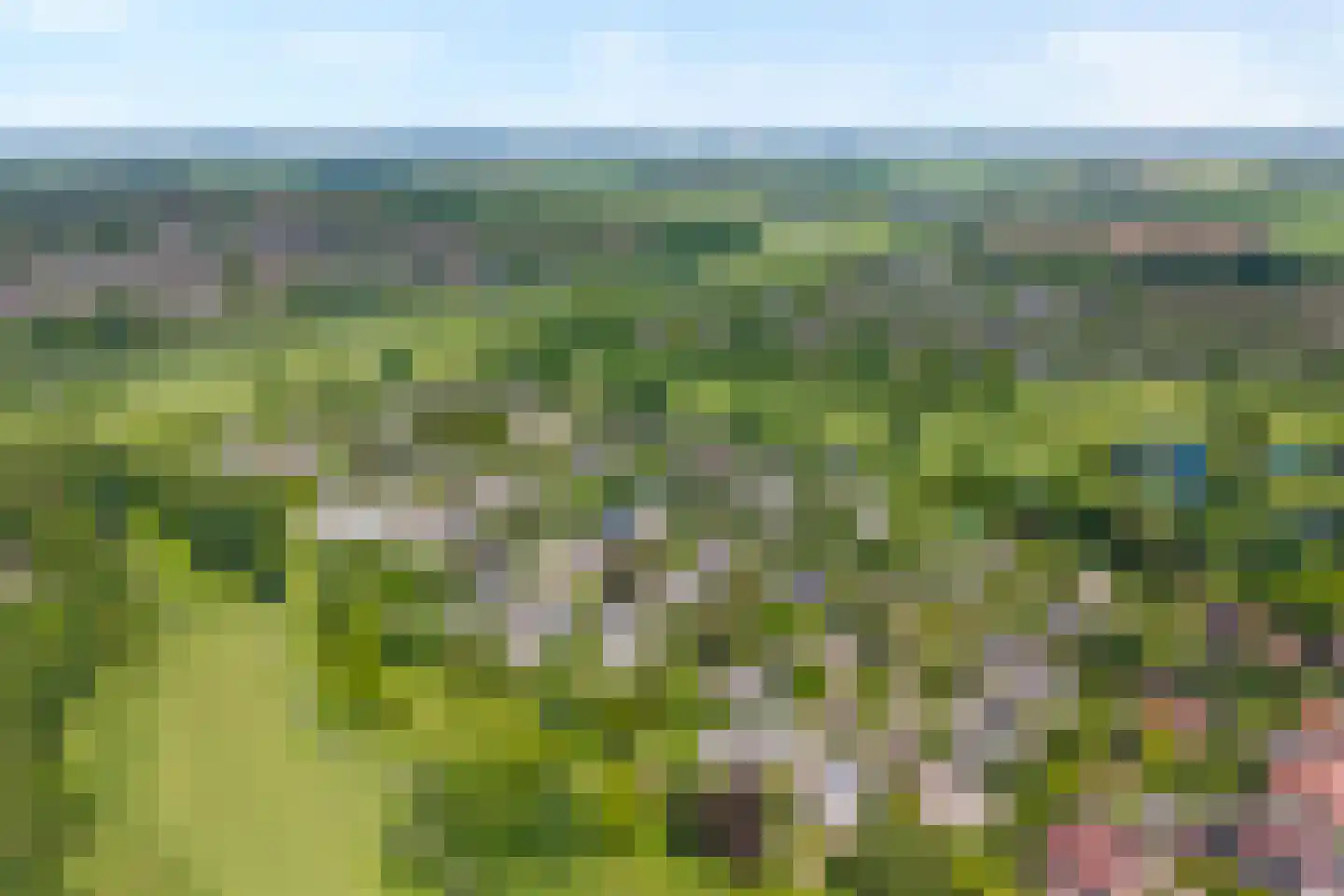 Zomer 62 Dronten thumbnail 80