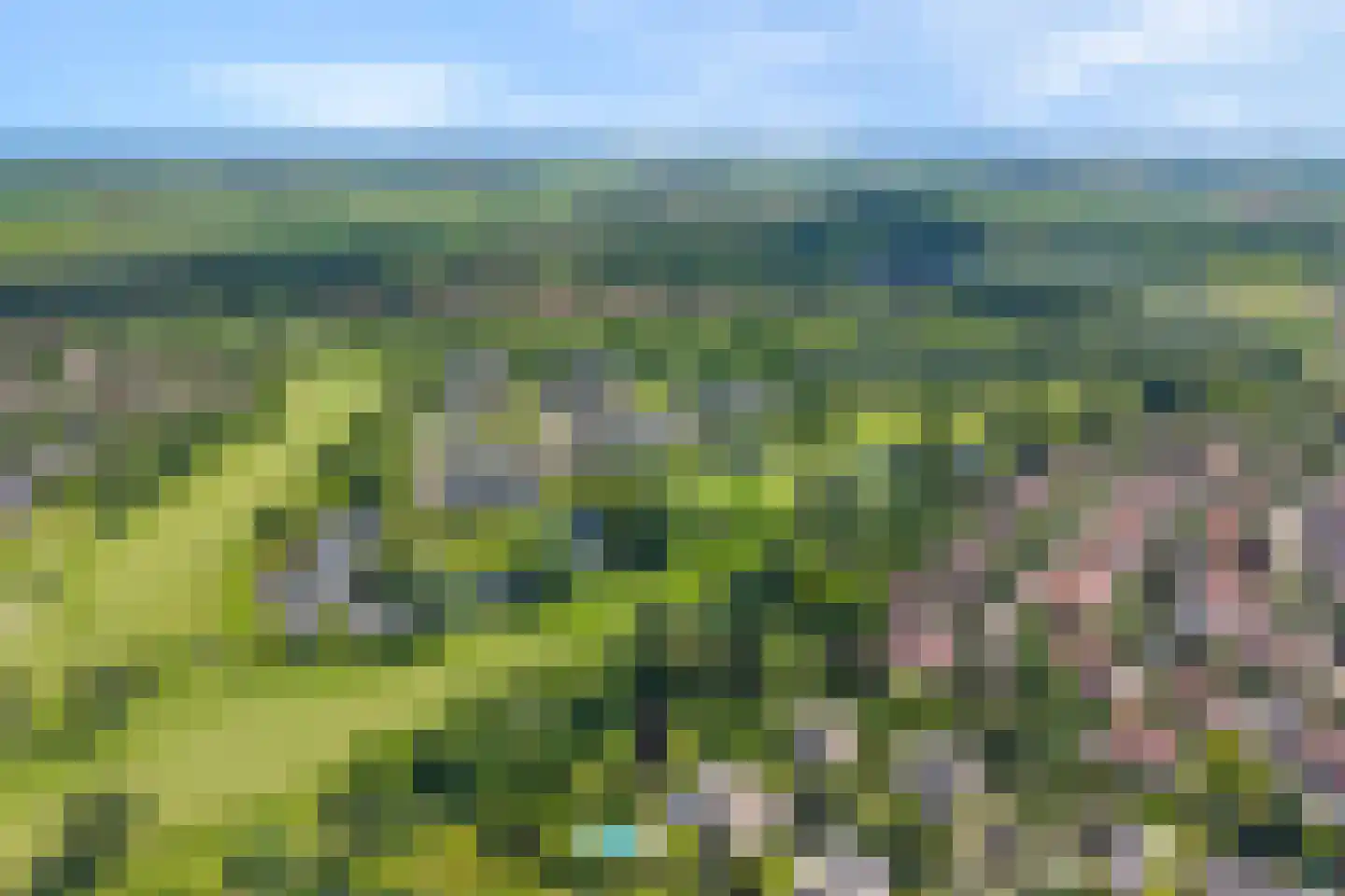 Zomer 62 Dronten thumbnail 81