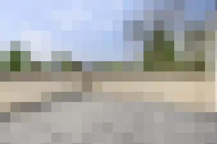 Zomer 72 Dronten thumbnail 23