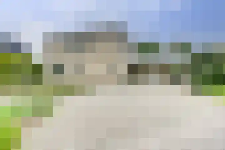 Zomer 72 Dronten thumbnail 33