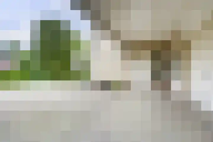 Zomer 72 Dronten thumbnail 34