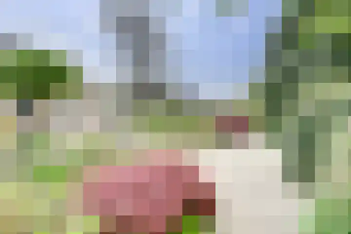 Zomer 72 Dronten thumbnail 38