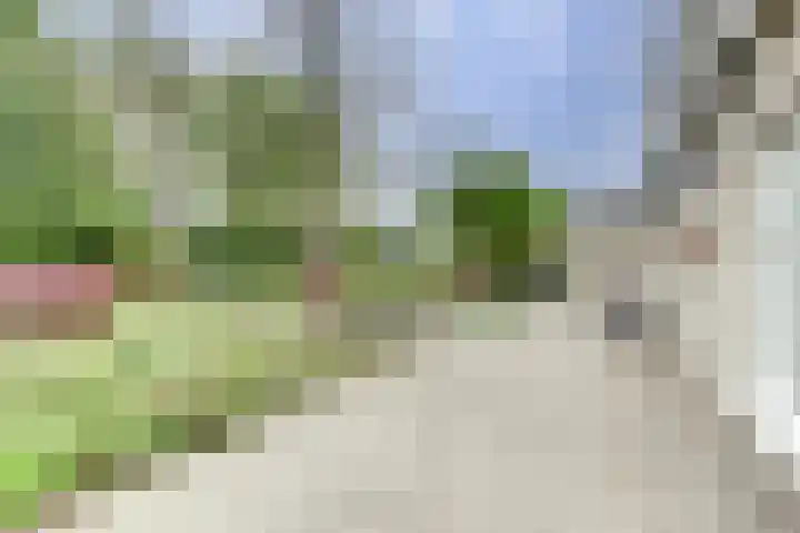 Zomer 72 Dronten thumbnail 41