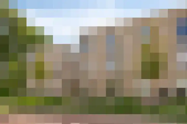 Zomer 72 Dronten thumbnail 5