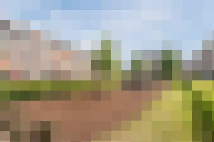 Zomer 72 Dronten thumbnail 50