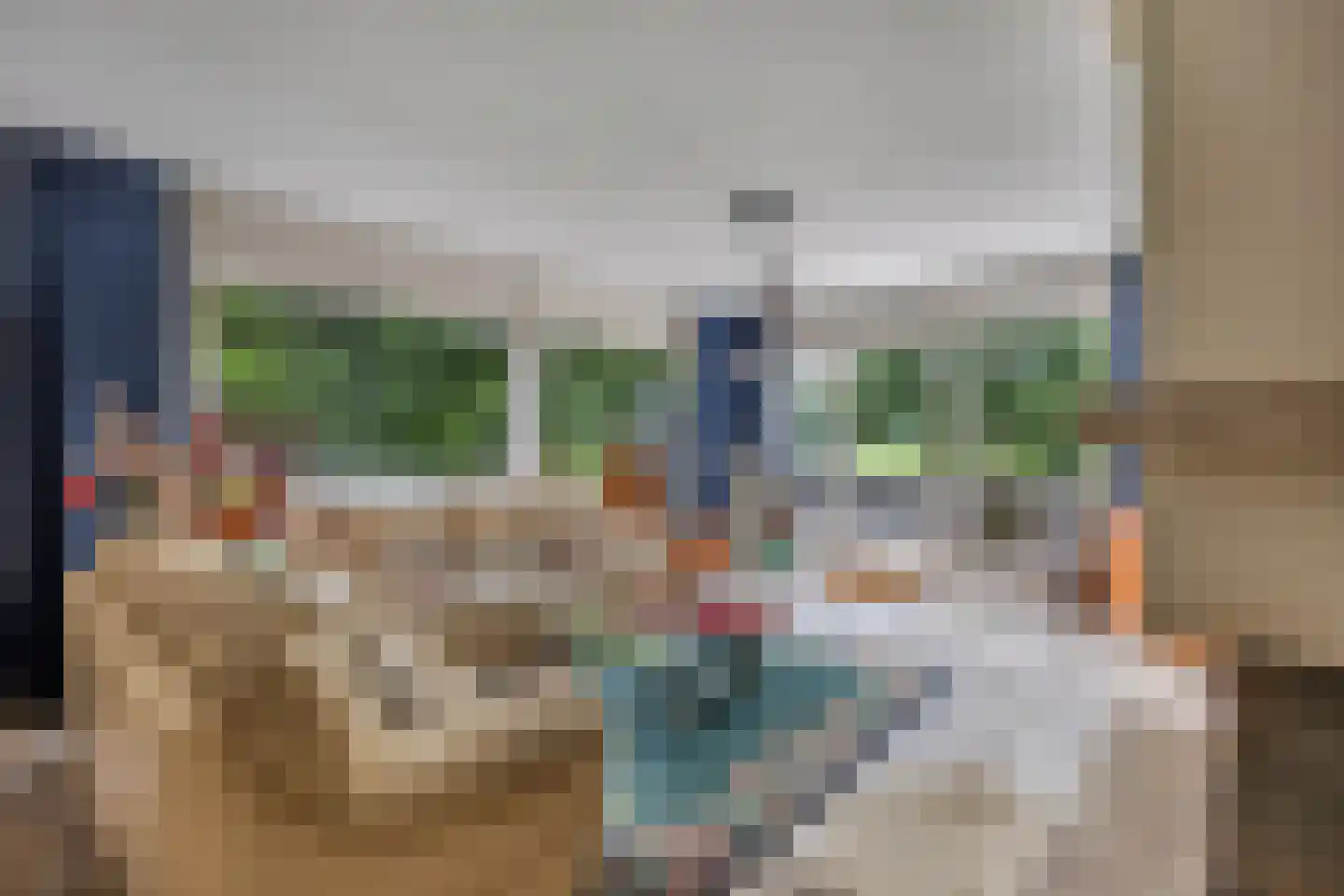 Zomer 9 Dronten thumbnail 13