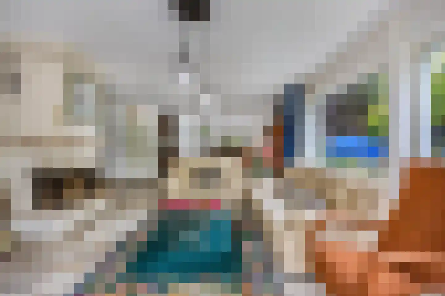 Zomer 9 Dronten thumbnail 16