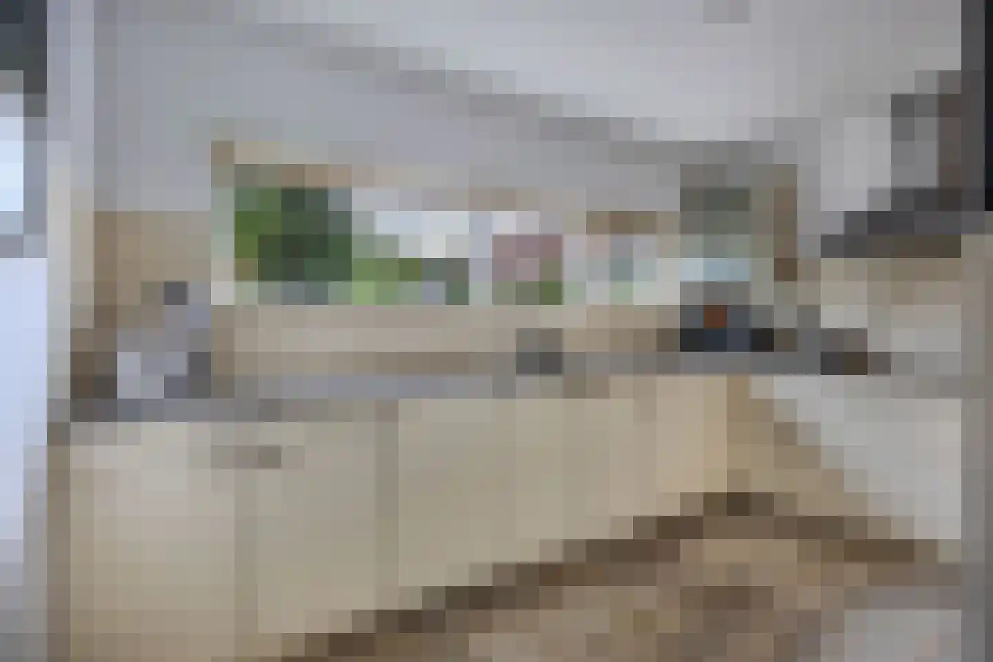 Zomer 9 Dronten thumbnail 24