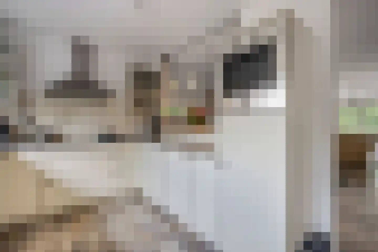 Zomer 9 Dronten thumbnail 25