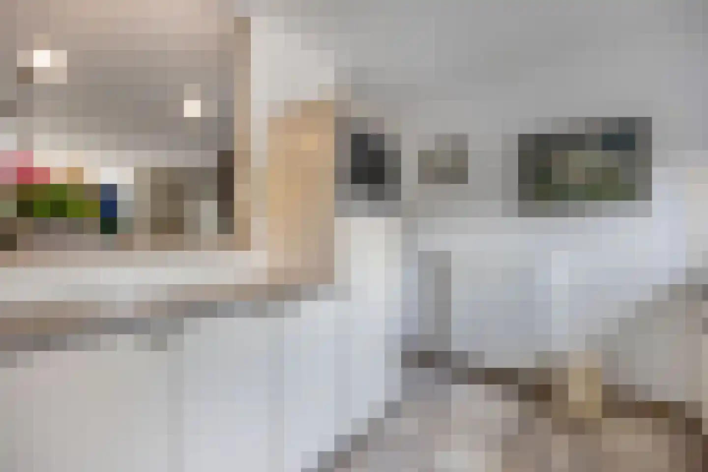 Zomer 9 Dronten thumbnail 26