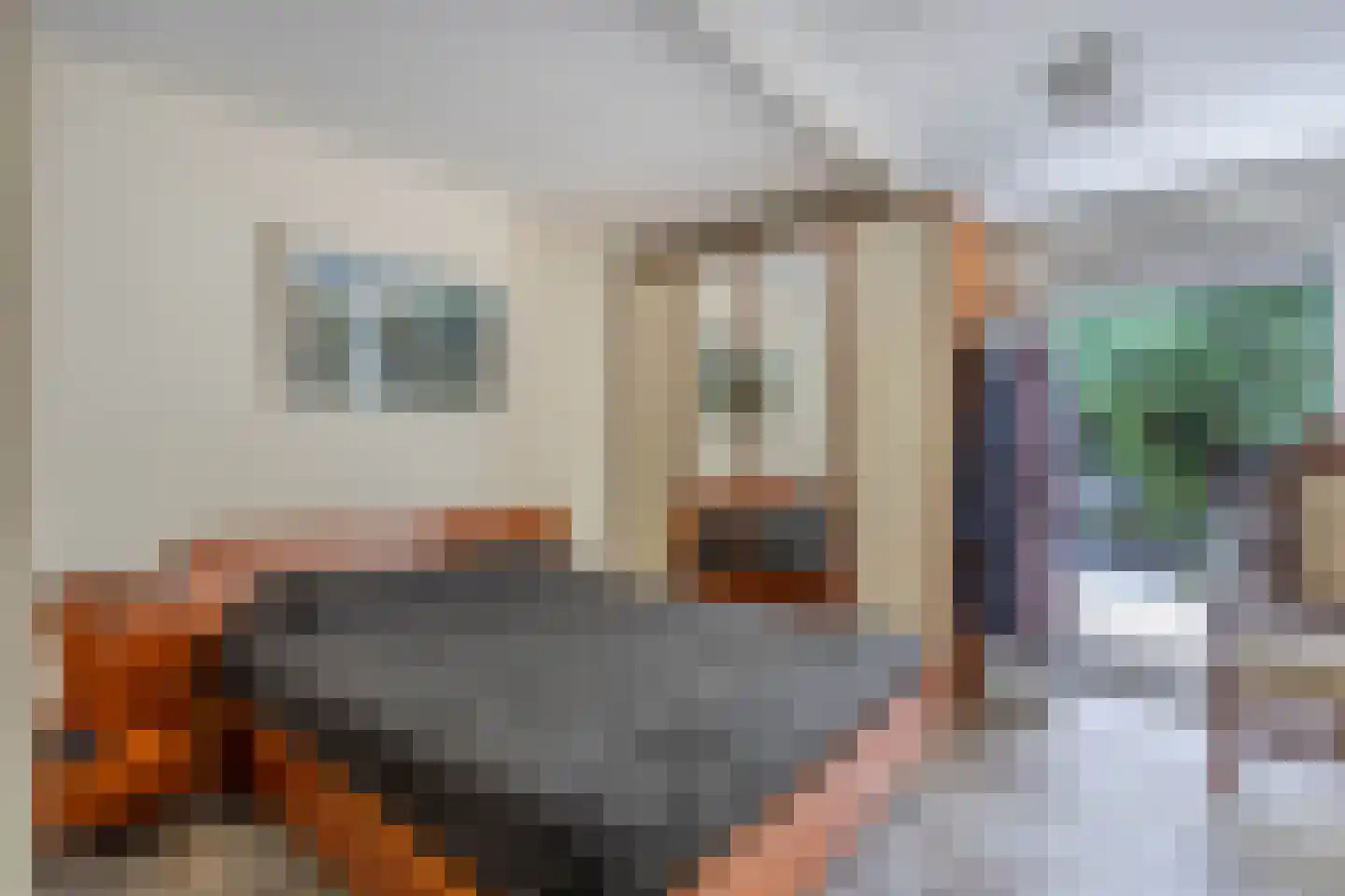 Zomer 9 Dronten thumbnail 28